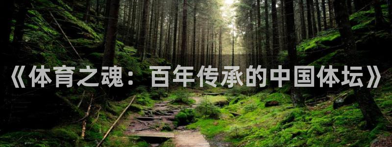 《体育之魂：百年传承的中国体坛》
