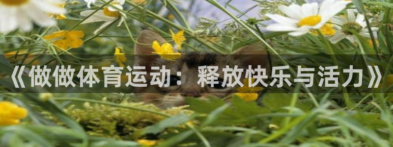 《做做体育运动：释放快乐与活力》
